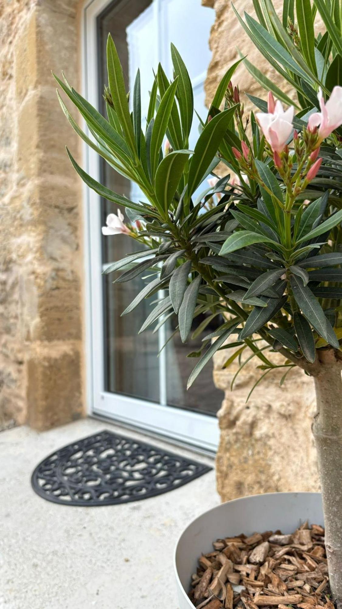 L'Atelier Detente Et Spa Caudrot Exterior foto